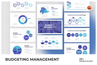 Budgeting Management Infographic